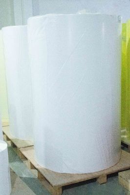 Extra klebriges PE beschichtetes Board, klare abnehmbare Etiketten 80 u Oberflächendurchmesser